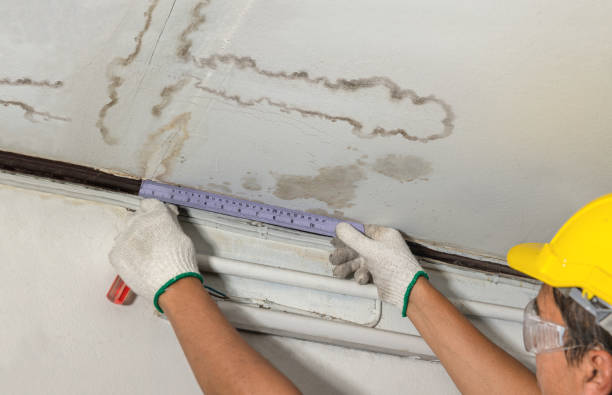 Reliable Mold Remediation contractor in Llano, TX by Water Damage Irwin